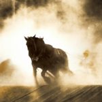 ウイニングポストの貴重なアイテム一覧はこちら